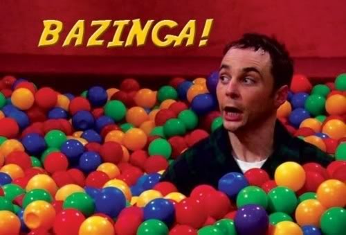 Bazinga Ball Pit