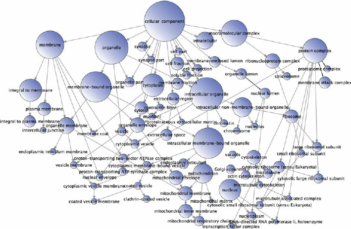 Gene Ontology