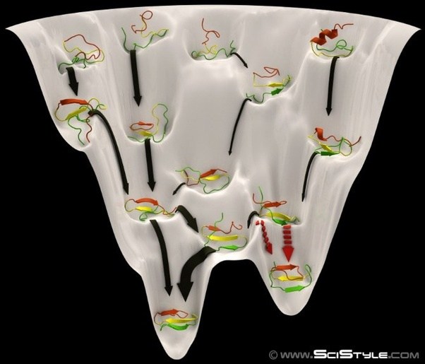 Protein Folding and Metaphysical Leylines