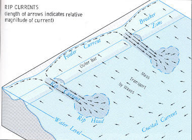 Ripcurrents