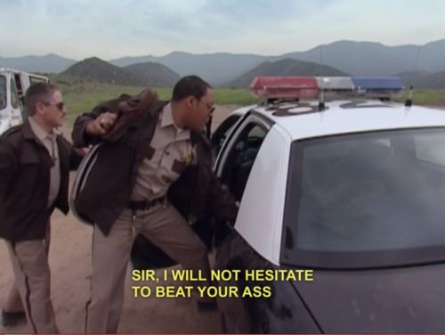 Reno 911