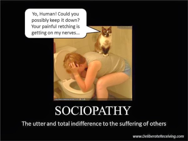 Sociopathic
