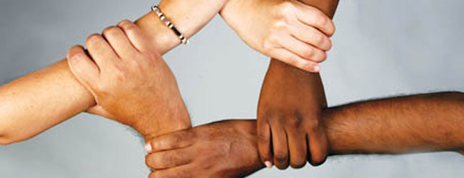 Unity Through Diversity